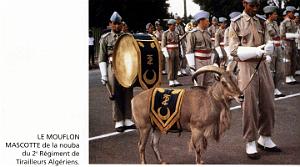 Oran - 2e Tirailleurs - La Nouba
